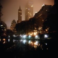 Central Park Rain