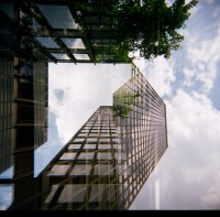 Seagram Building Summer #6