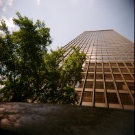 Seagram Building Summer #1