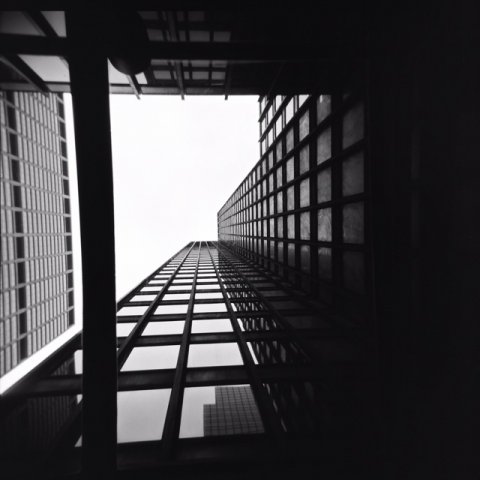 Seagram Building Winter #3