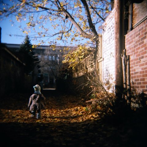 Montreal Fall #12