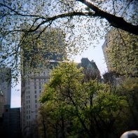 Central Park Spring #2