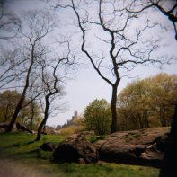 Central Park Spring #1