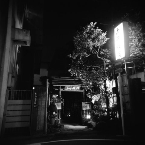 Ueno Lights #5