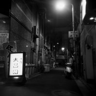 Ueno Lights #6